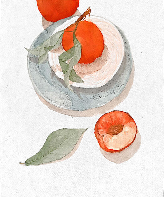 Still Life in Watercolor