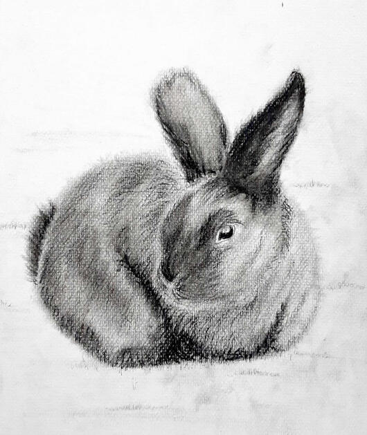 Rabbit in Charcoal